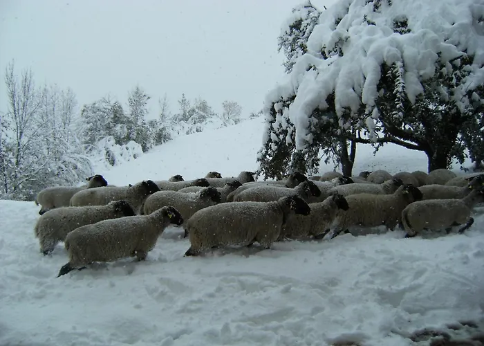 Agriturismo Maso Santa Libera